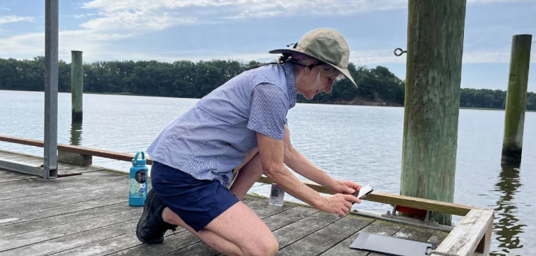 NASA Citizen Science tweet media