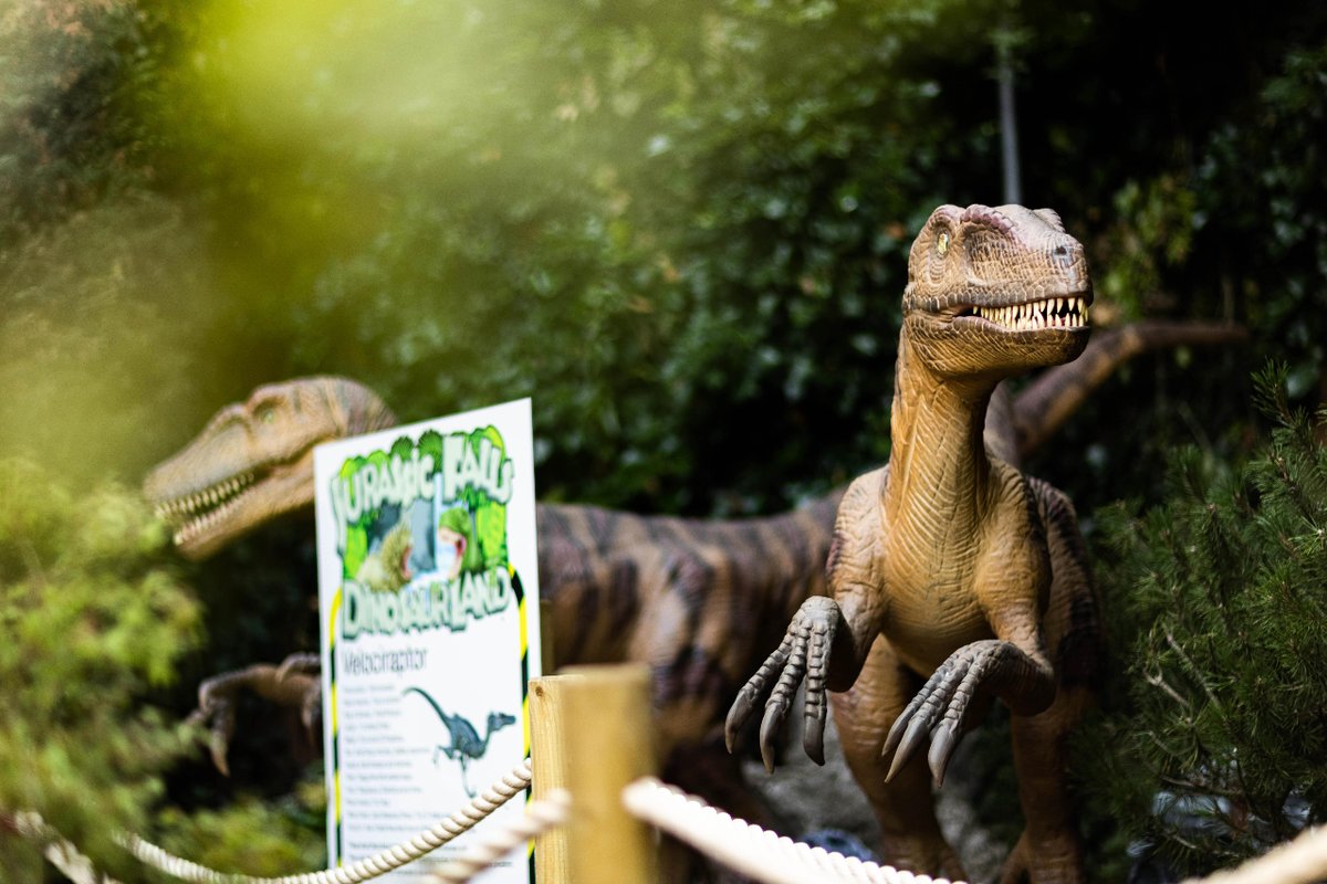 We are very excited to announce we are working with Teen Spirit, on their brand new Jurassic Cove Adventure Golf in Nottingham. Dino themed, it’s all go, go, go for a roarsome new website and launch marketing campaign. Can’t wait to get it open!