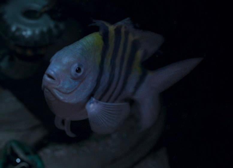 Reiriesz's tweet image. มึงจะเน้นเรียลกับเรื่องแฟนตาซีที่มีนางเงือกกับแม่มดเพื่อออออออ ไอ้เย๊ดแม่่่่่่่่่่่