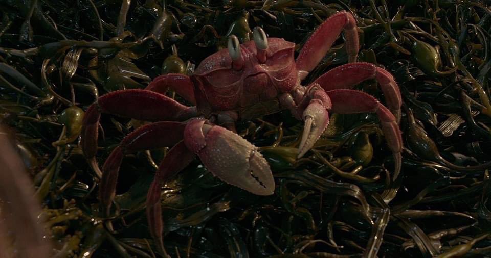 Reiriesz's tweet image. มึงจะเน้นเรียลกับเรื่องแฟนตาซีที่มีนางเงือกกับแม่มดเพื่อออออออ ไอ้เย๊ดแม่่่่่่่่่่่