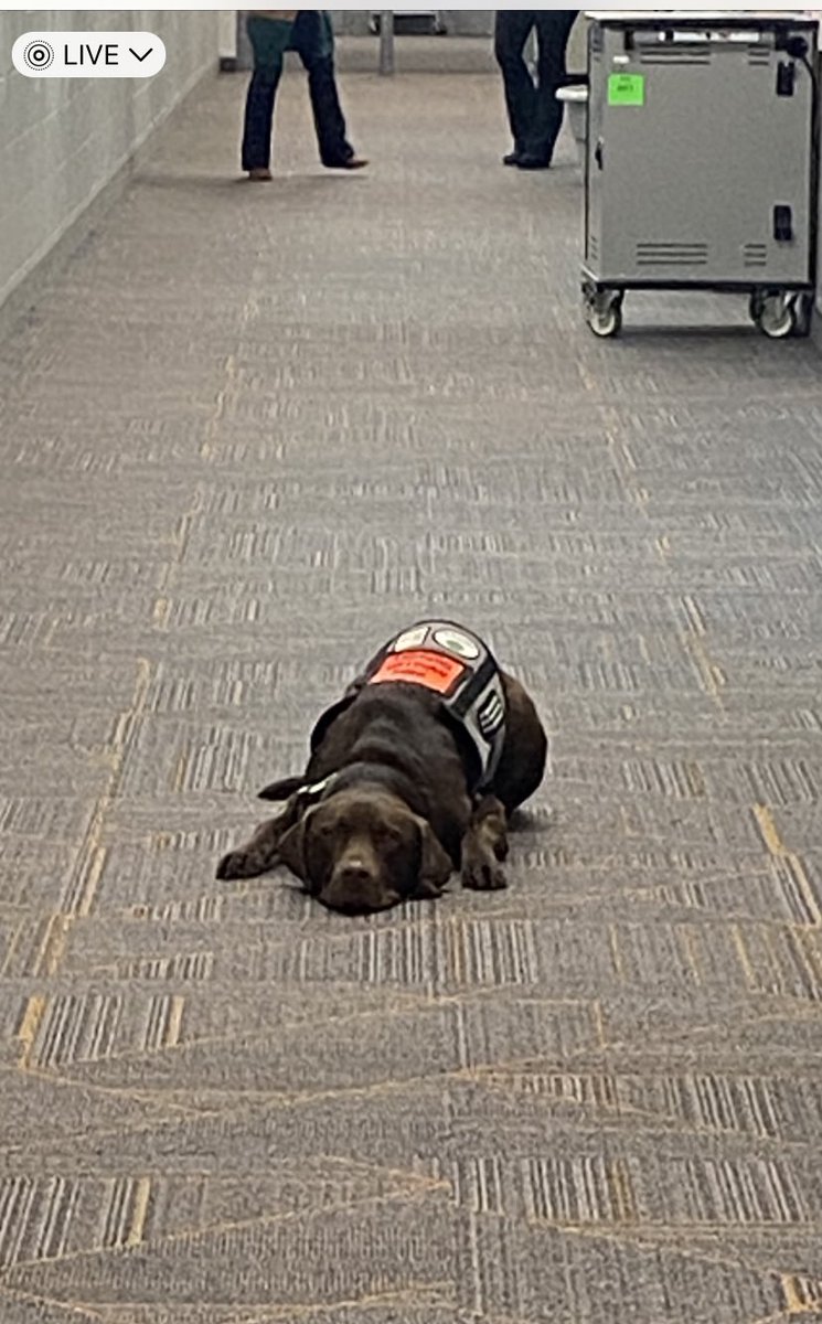 Walled Lake El tweet media