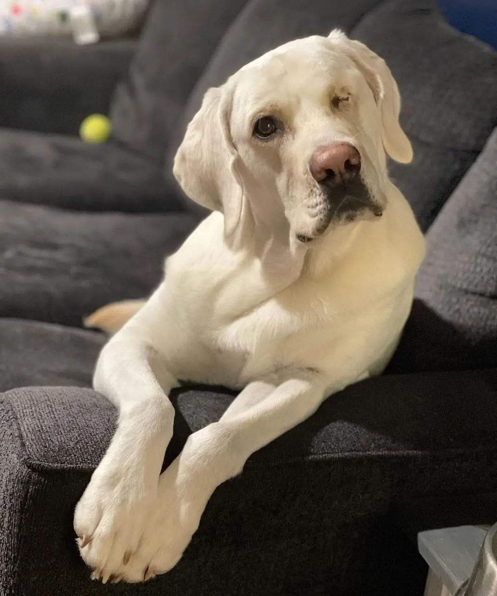 Hello everyone! It’s my birthday I hope I can get some love here 🥰