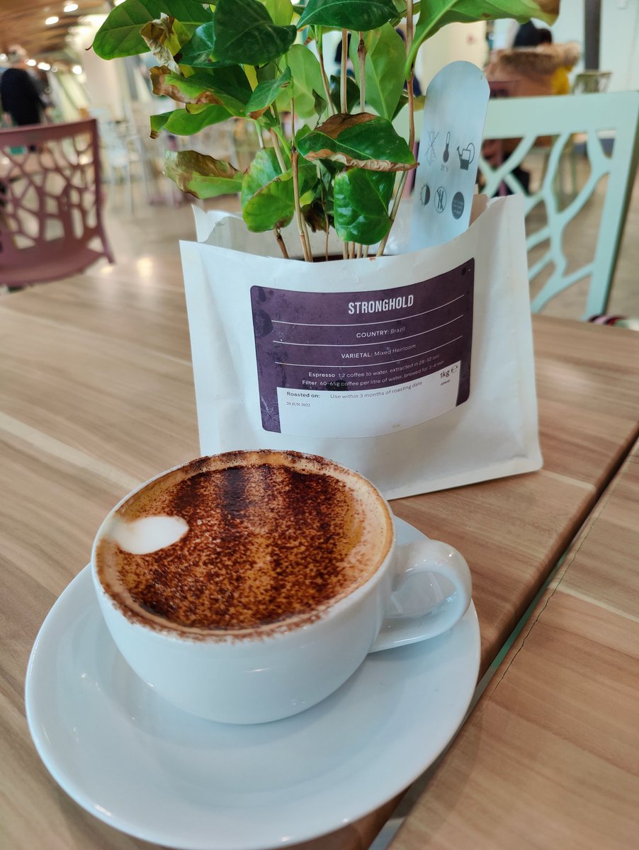 KimPotterArt's tweet photo. Great to see @EdenProject taking #recycling as far as possible by reusing @origincoffee bean bags as plant pots! https://t.co/ToPE9QO7bd