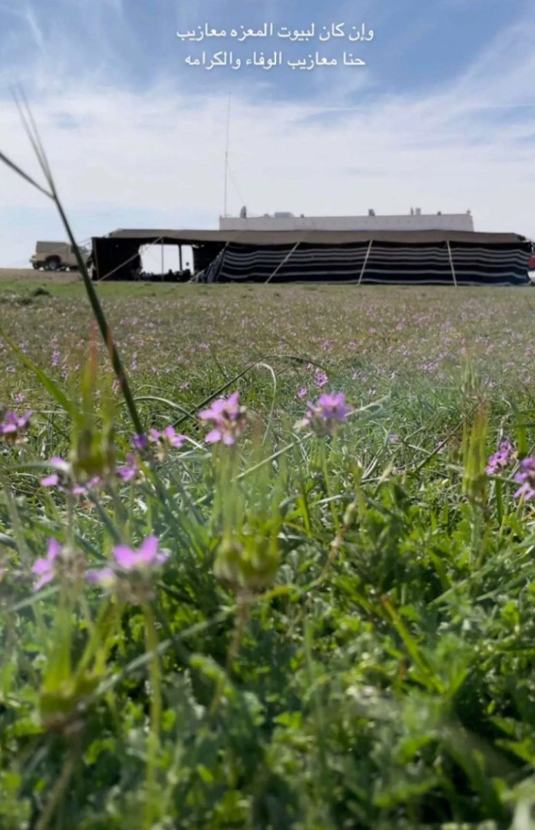 #الاجواء_الحلوه