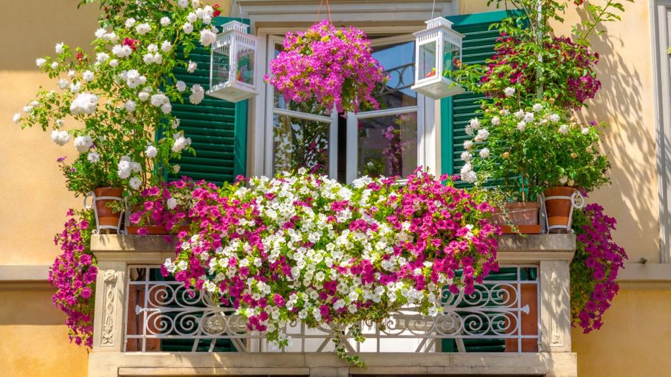 HispaniaVerde's tweet photo. Empieza a llegar el buen tiempo, días largos y soleados 🌞 y, por ello, es el momento de decorar nuestros balcones y terrazas, con plantas con flores 🌸 y de follaje ornamental. Os damos algunos consejos en nuestro Blog. 

https://t.co/x1W8e1Vtbe

#flores #plantas #balcones https://t.co/10UPszttC2