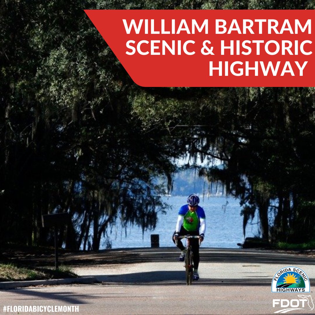 In addition to beautiful sandy beaches, Florida is also home to hundreds of trail miles! Ride along this #FloridaBicycleMonth and discover something new about our state. To find some scenic routes near you, <a href="/FLscenichighway/">Florida Scenic Highways</a> has you covered!