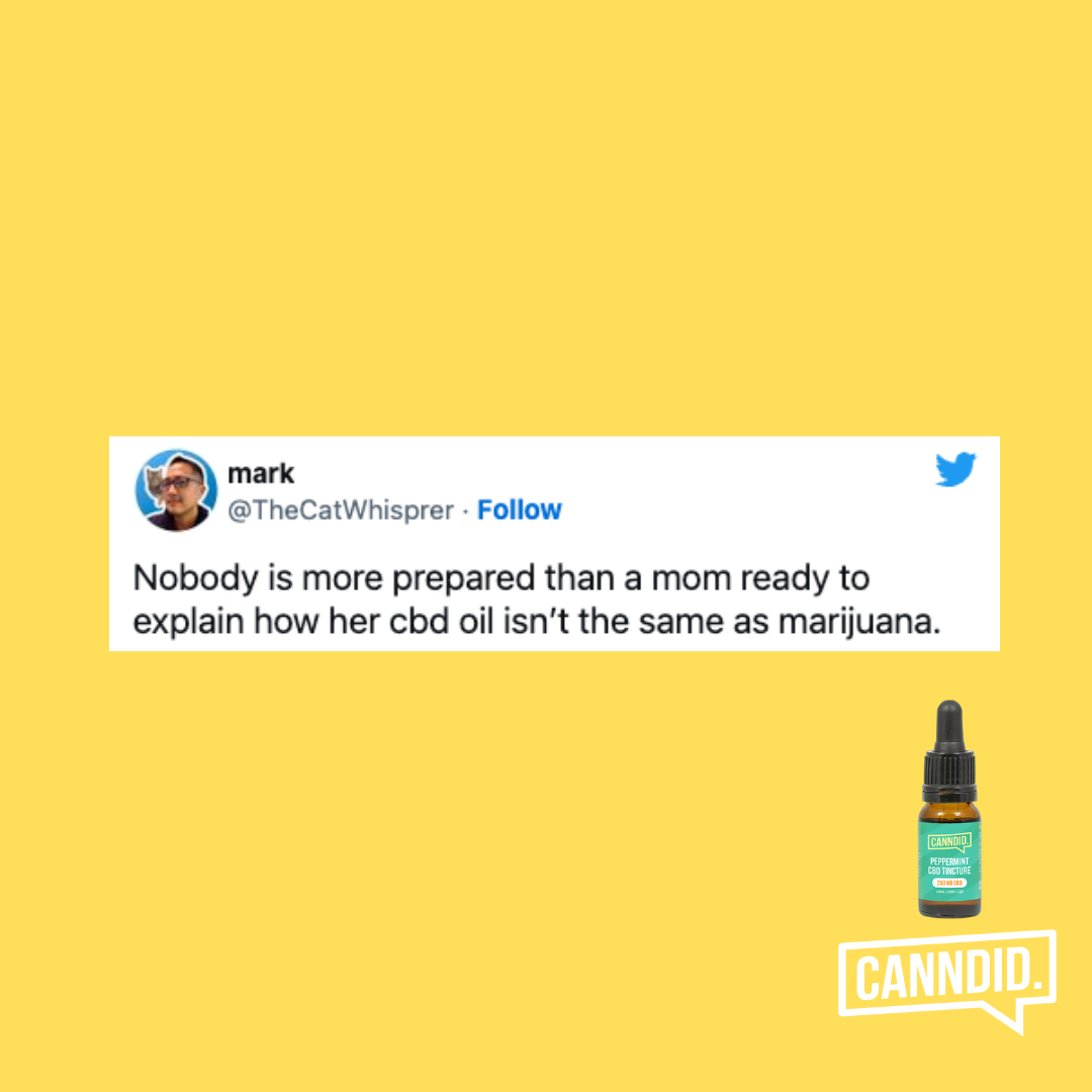 Canndid UK tweet media