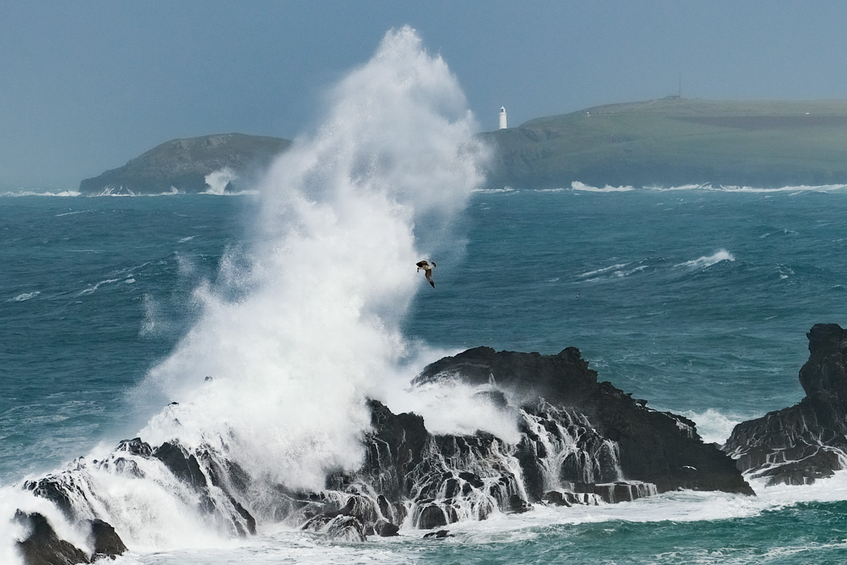 Simon Maycock tweet media