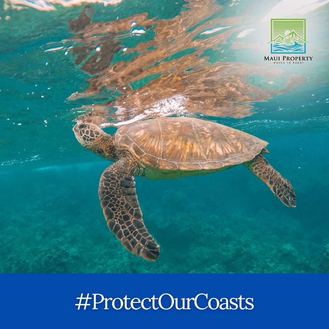 MP supports the Surfrider Foundation. This amazing #nonprofit organization is devoted to protecting our ocean, waves, and beaches. 🏖️ 
 bit.ly/3rxi1qo 

#ProtectOurCoasts #Surfrider #giveback #hawaiianislands