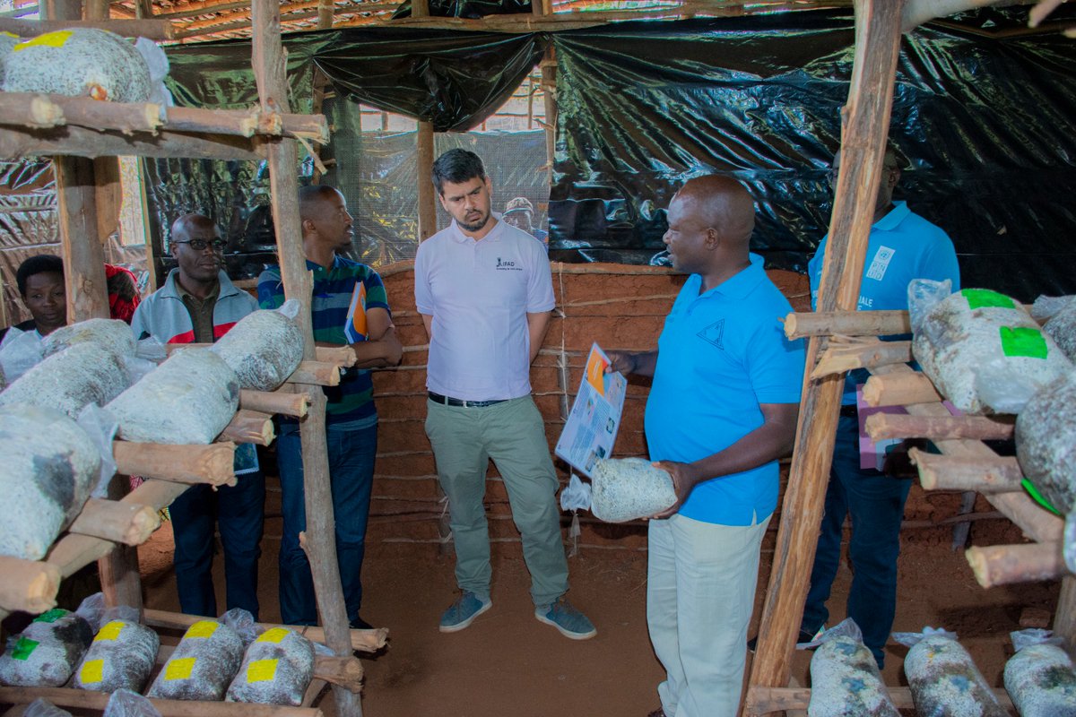 progrfidabdi's tweet photo. #PIPARV-B financé par  @leFIDA oriente ses interventions dans la réduction de la vulnérabilité des populations rurales en les impliquant étroitement dans la conception et la mise en œuvre de toutes les activités de développement de leur milieu et de leur terroir. https://t.co/kWP6R5VdZA