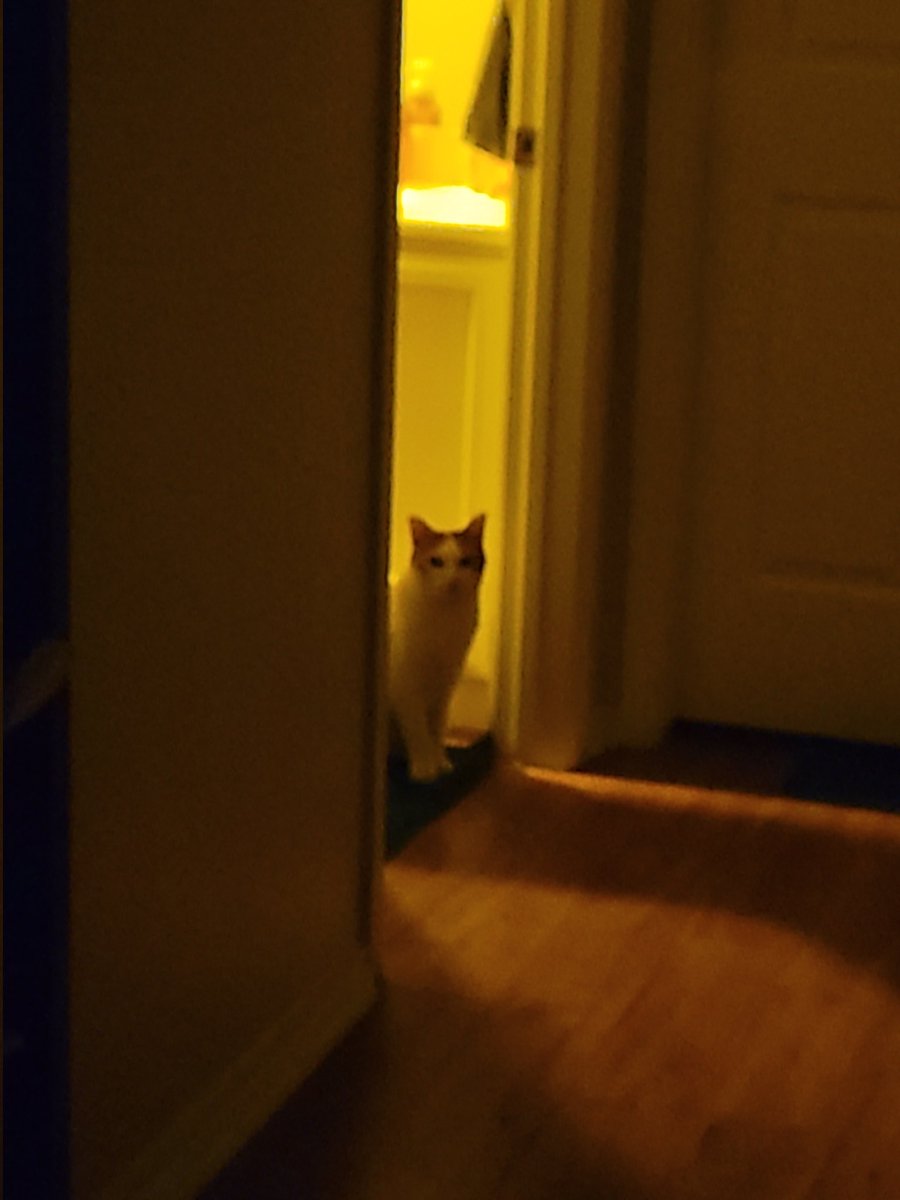 je2nifer's tweet photo. This doesn't make me nervous at all. It's fine. Should I be nervous?
I think I'm nervous. Nah...it will be okay...
Help.
#MorningsWithMurph https://t.co/N5DExjG2Me