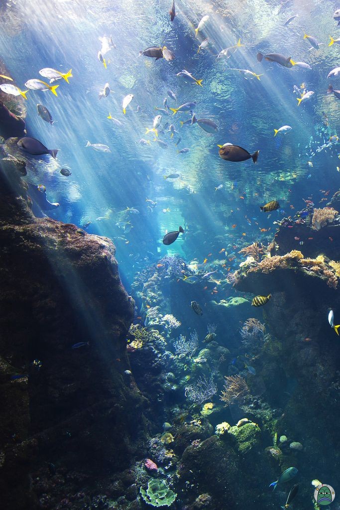 Tanyarlfes tweet media