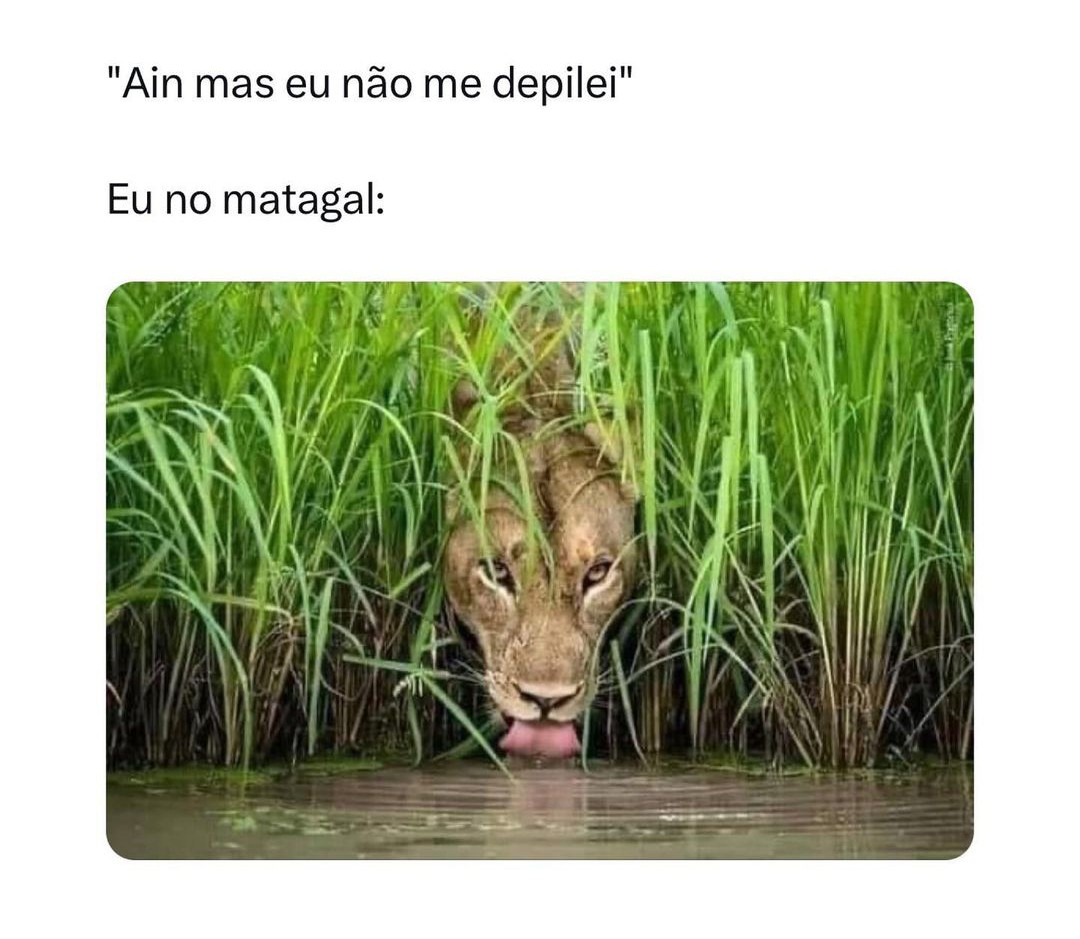 fatosdexexo's tweet photo. https://t.co/7ipyGhj9tp
