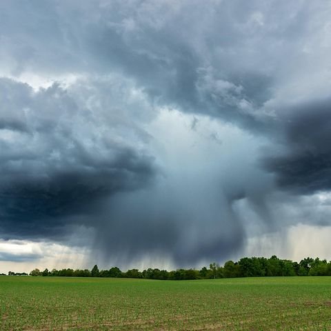 Transcend Project tweet media