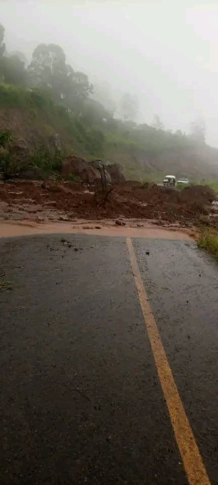 KondwaniSM tweet media