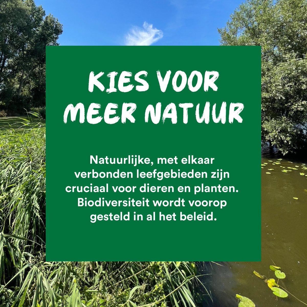 Partij voor de Dieren Rijnland tweet media