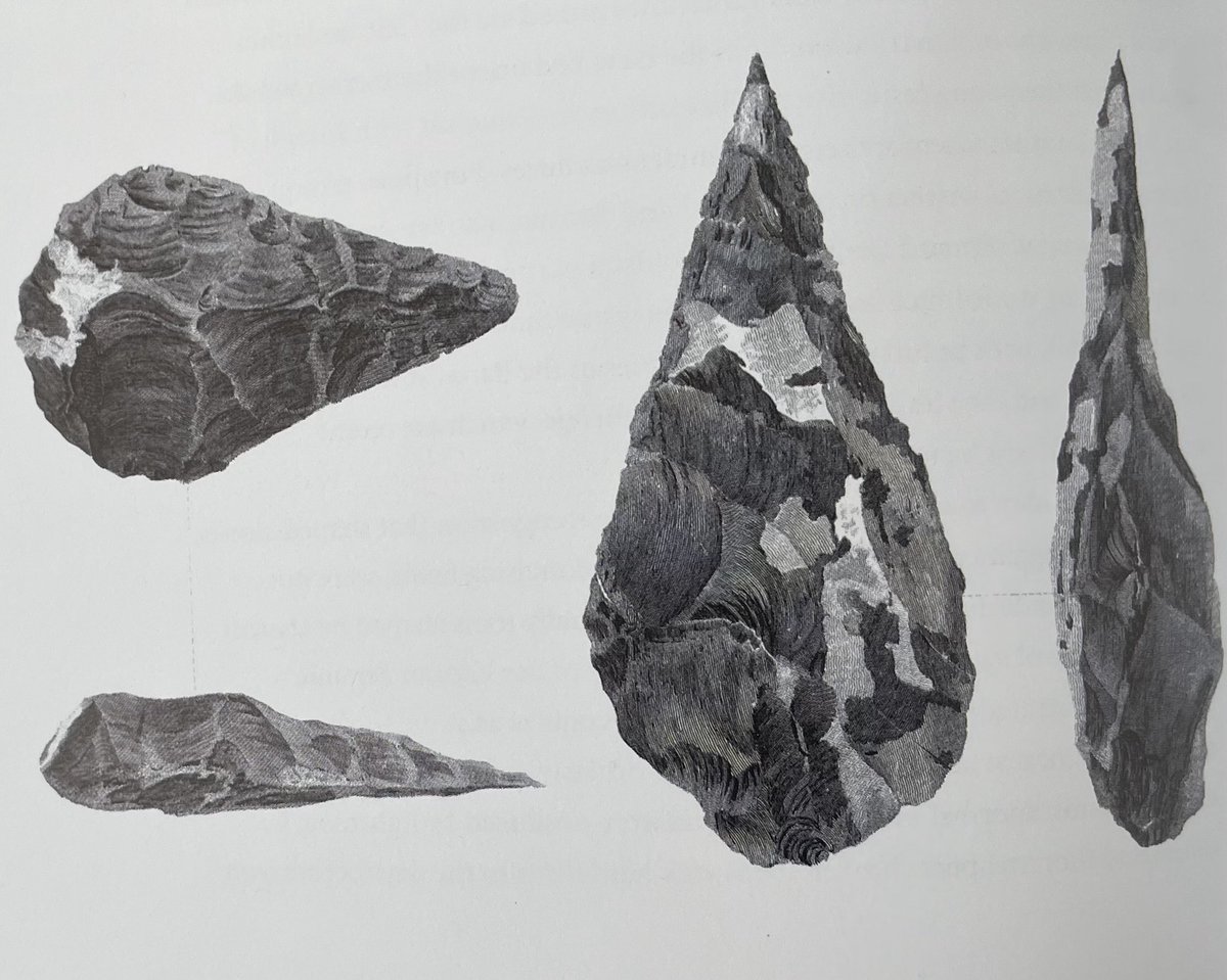 Chris Stringer tweet media