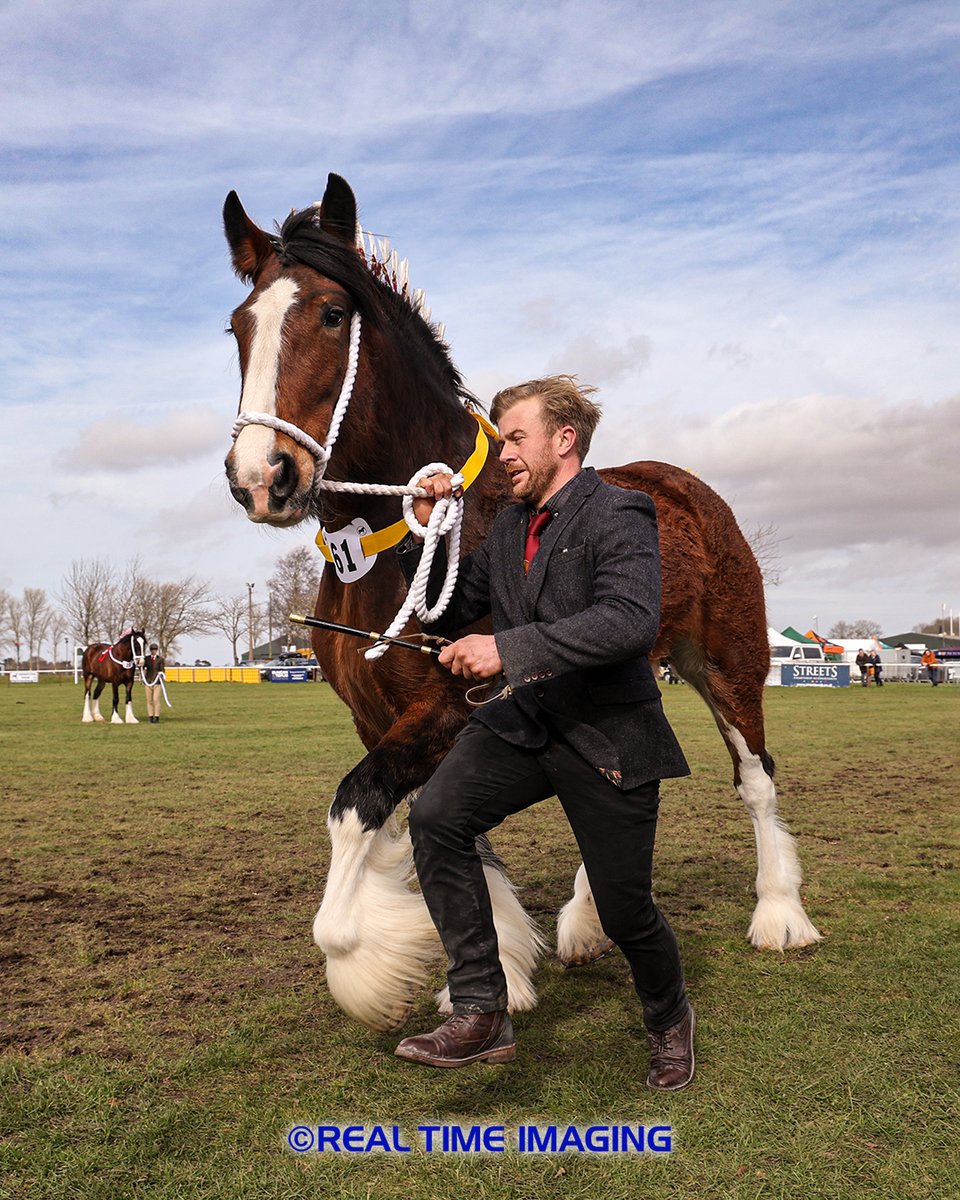 Proofs for The National Shire Horse Show are now available to view.
realtimeimaging.co.uk/p/65309mdf/nat…
conta.cc/3TcSP7J