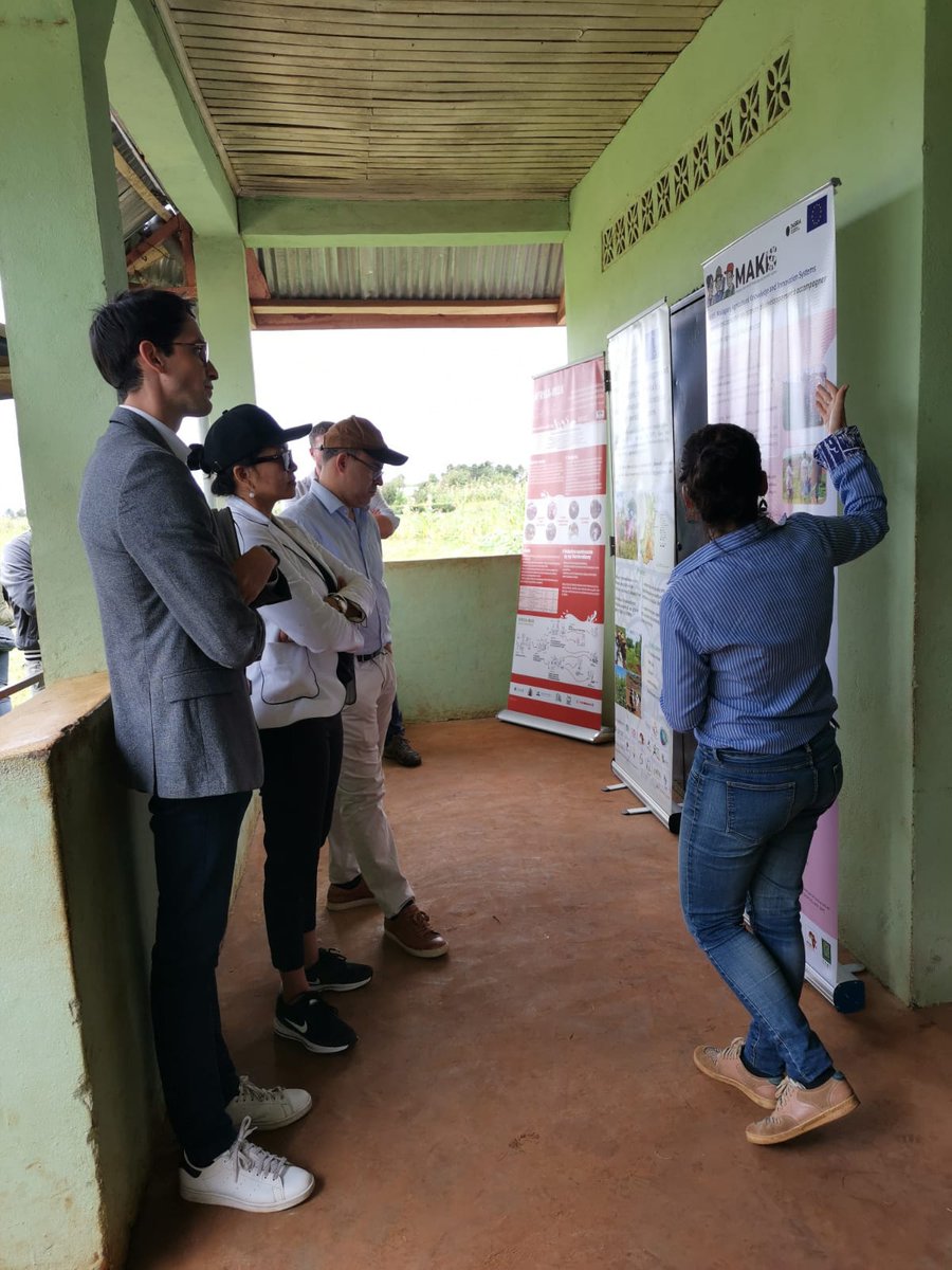 vigne_mathieu's tweet photo. Aujourd'hui, nous avons eu l'honneur de recevoir la visite de l'Ambassadeur de France à Madagascar. L'occasion de découvrir la station expérimentale de @Fofifa_officiel  à Andranomanelatra et d'échanger sur les activités de recherche en partenariat du @dp_spad ! @Cirad_AAM https://t.co/MIX1MRSxk6
