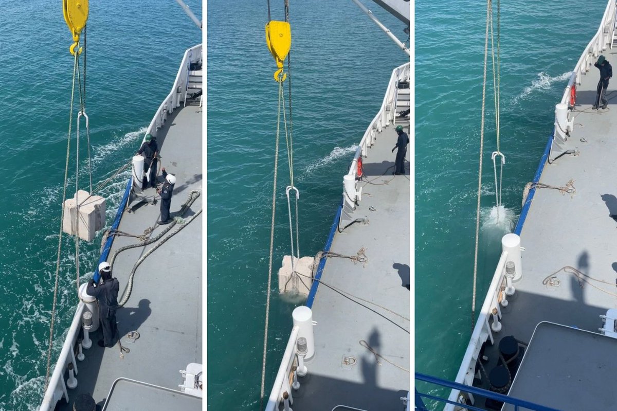IUCNCetaceanSG's tweet photo. Deployment of #gillnet deterrent structures in the Zero Tolerance Area in the Gulf of California appears to have contributed to a reduction in gillnetting and an increase in the rate of #vaquita acoustic encounters.  Positive news!
https://t.co/M873mSWXc1 @CetaceanAction https://t.co/p2RP8ly8zh