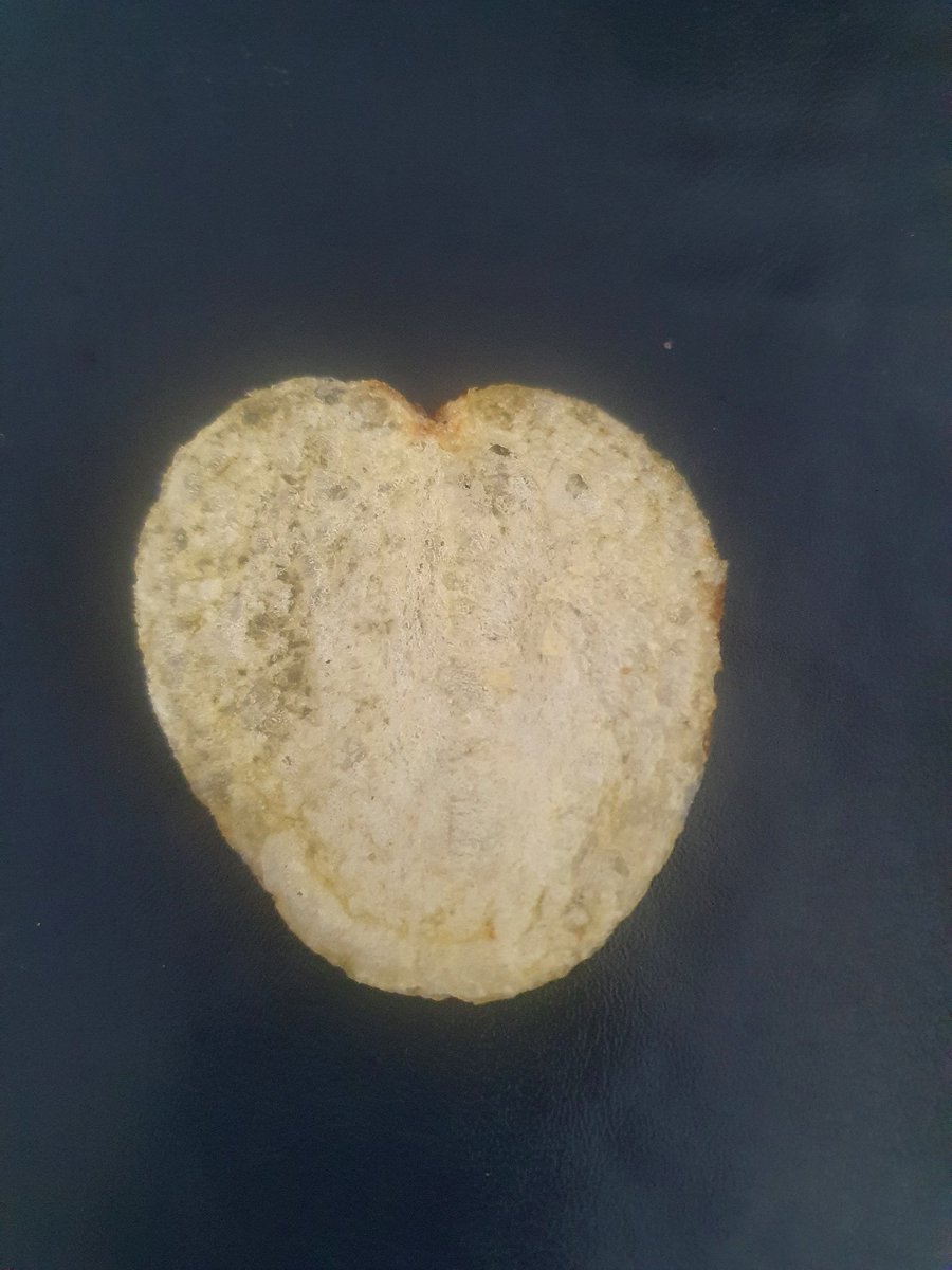 M04DM's tweet photo. @walkers_crisps I usually dont do this but eating this at lunch i found this..... #lovefromwalkers https://t.co/3RdQG7cSav