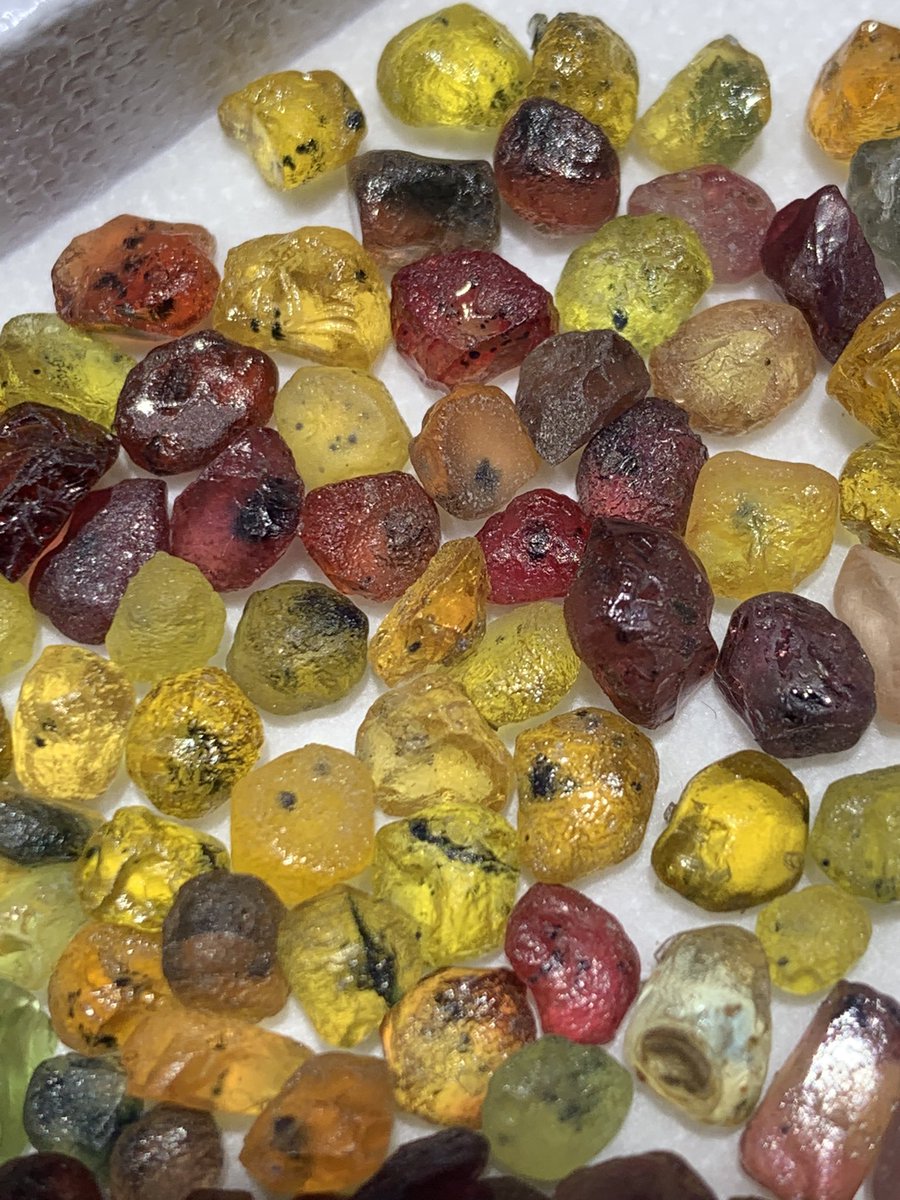 folkertreasure's tweet photo. Beautiful colors of natural sapphires from tanzania no any treatment

#gemstones #lapidaryartist #facetingrough  #purplesapphire #sapphire  #roughsapphire #sapphiregemstone #gemstone  #gems #gemstone #roughgemstone #jewelry #jewellery  #multisapphires  #tanzaniansapphires https://t.co/k7OcUt62wn
