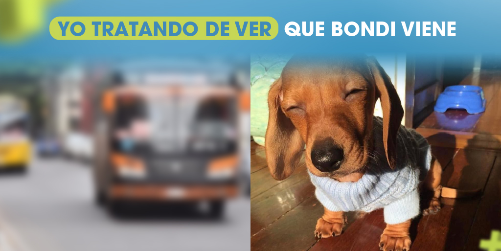 mastarjetapy's tweet photo. Nos pasa a los mejores🤓😅 https://t.co/Smq22cS6is