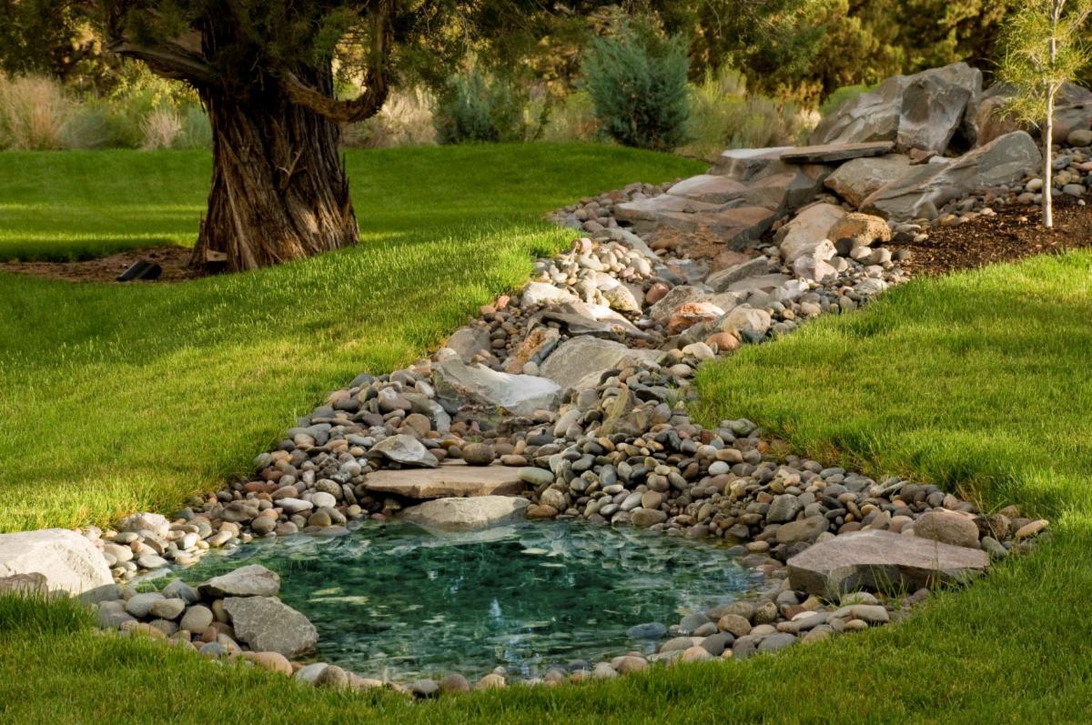 U_IL_Ext_HMRS's tweet photo. Explore rain garden at our series March 30 &amp; April 6 | Join us at the Flower and Garden Show March 24-26 | Read the Gardeners Corner Spring Newsletter. https://t.co/3OMltQst1g https://t.co/lJ32TkuZNN
