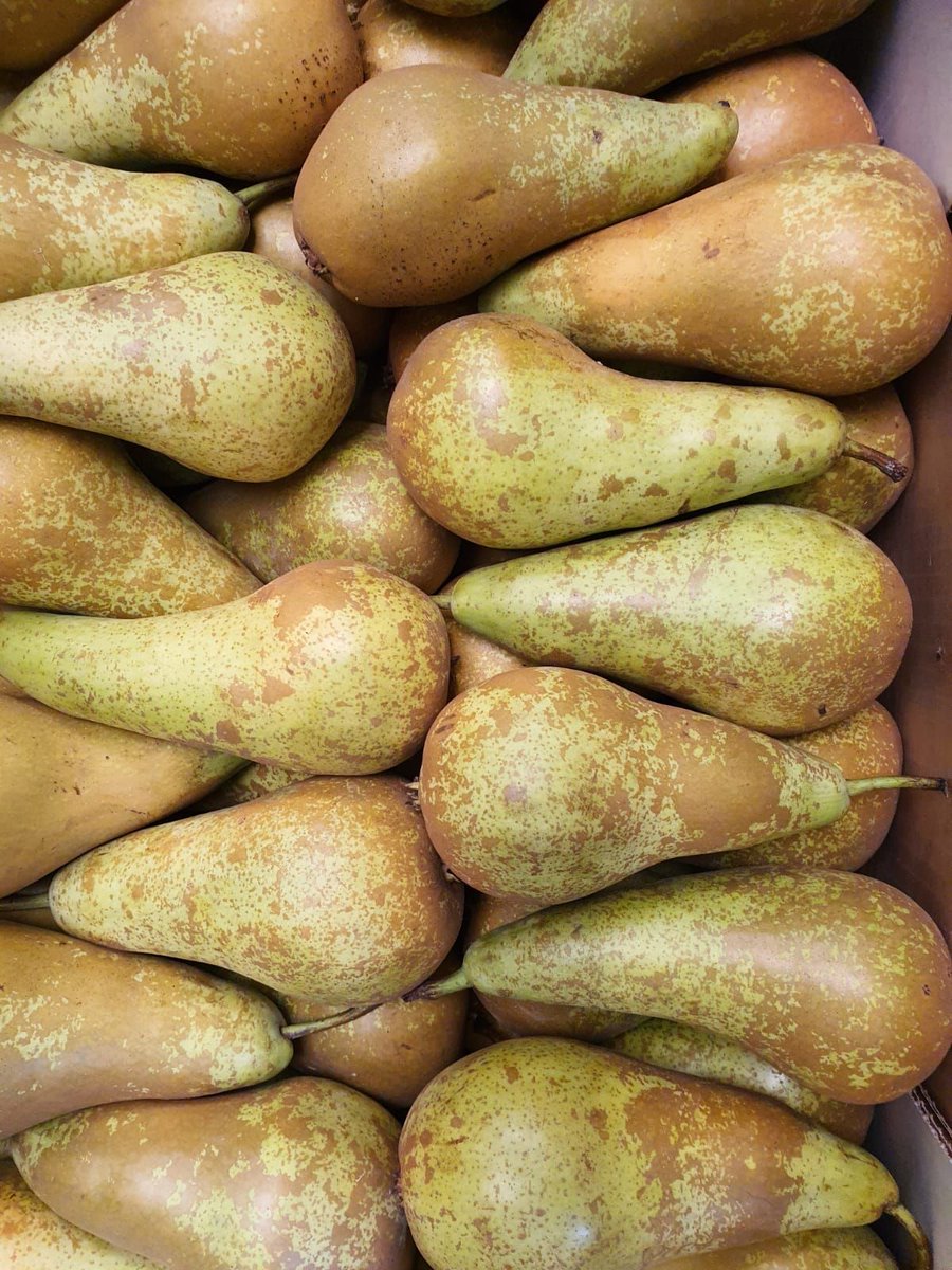 fruitrunner's tweet image. Setting up a monthly account is straightforward all that’s needed are the quantities of #fruit you require, how often either weekly or daily and the date you would like your deliveries to commence.

fruitrunner.co.uk/office-fruit-d…