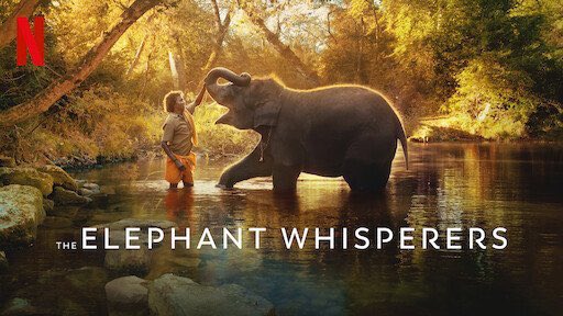 Yet another proud moment for India! 
Congratulations #KartikiGonsalves and #GuneetMonga for winning the #Oscar2023 for the Best Documentary Short Film Category #TheElephantsWhisperers 
My special love  to the 2 darling elephants -Raghu and Ammu.
Cheers!