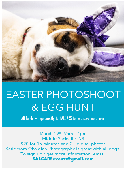 salcarescue's tweet photo. Only 1 week left to get a spot in our  Easter egg hunt / photoshoot on March 19th in Middle Sackville, NS!
For $20, your dog will get 15 minutes to run around a fenced yard looking for Easter eggs with treats hidden inside. https://t.co/mJ6IRM3LjD