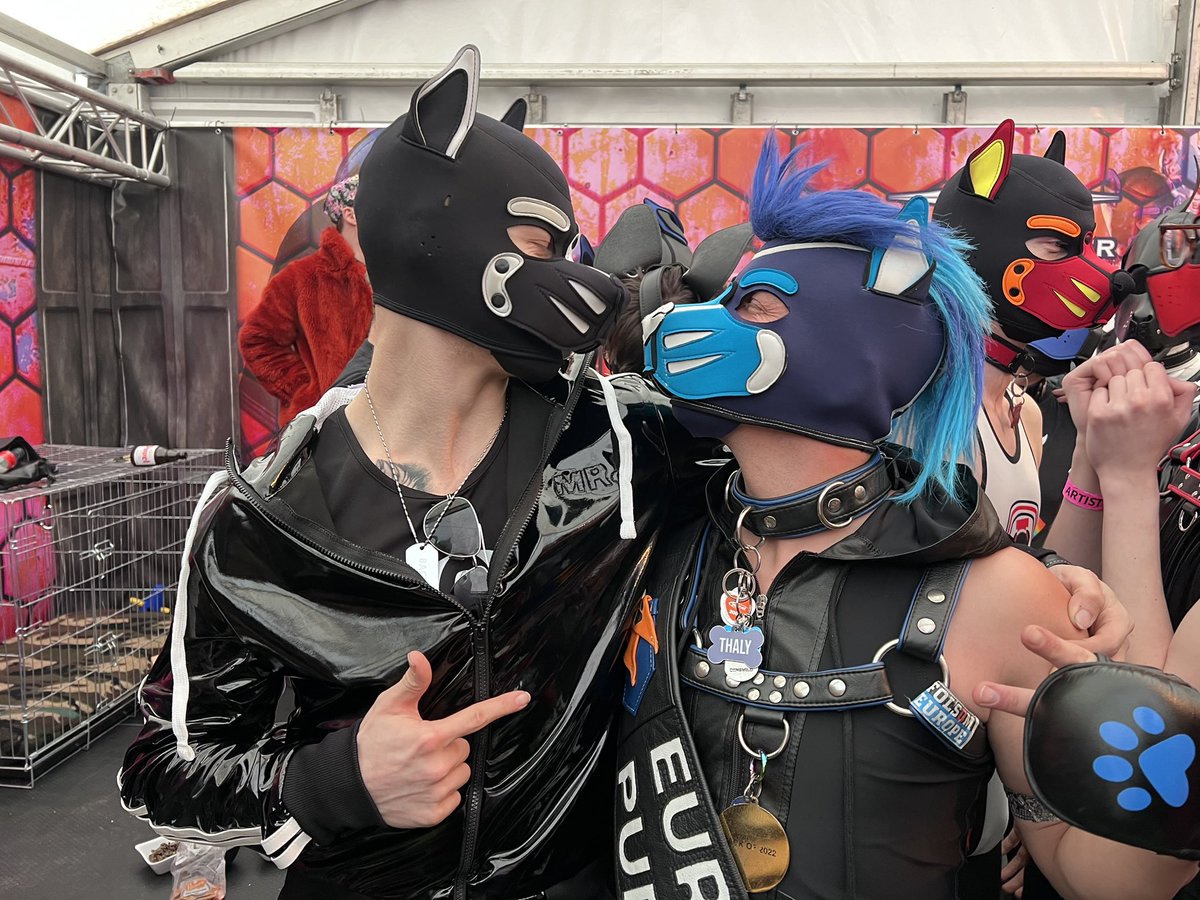 pupbacu's tweet photo. Met  @zanderwoodz, @pupmowgli @PupThaly too https://t.co/c6lEqaY8mb