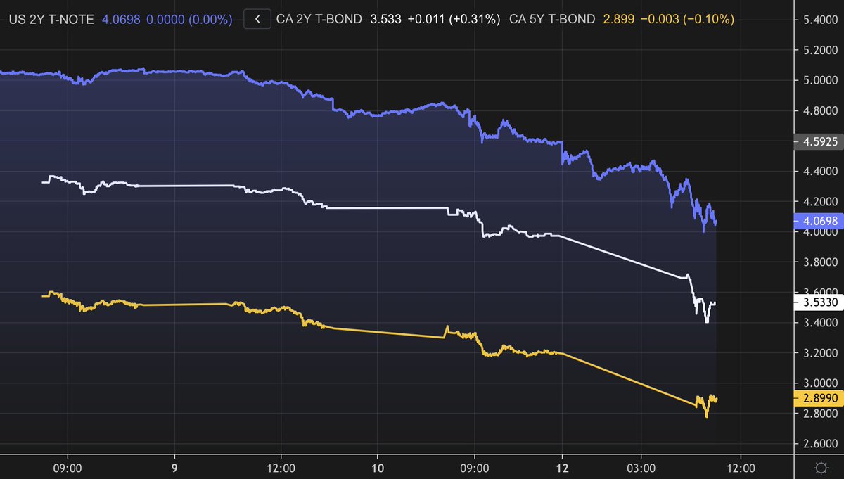 RobMcLister's tweet photo. The US banking crisis has government yields down in flames. Hardest fall since 1980s.

In just over 3 trading days:

• US 2yr:  -101 bps
• Cdn 2yr:  -84 bps
• Cdn 5yr:  -69 bps

Markets now fully pricing in 2 @bankofcanada CUTS by July. Absolutely breathtaking turn of events. https://t.co/Ba7hrURA6A