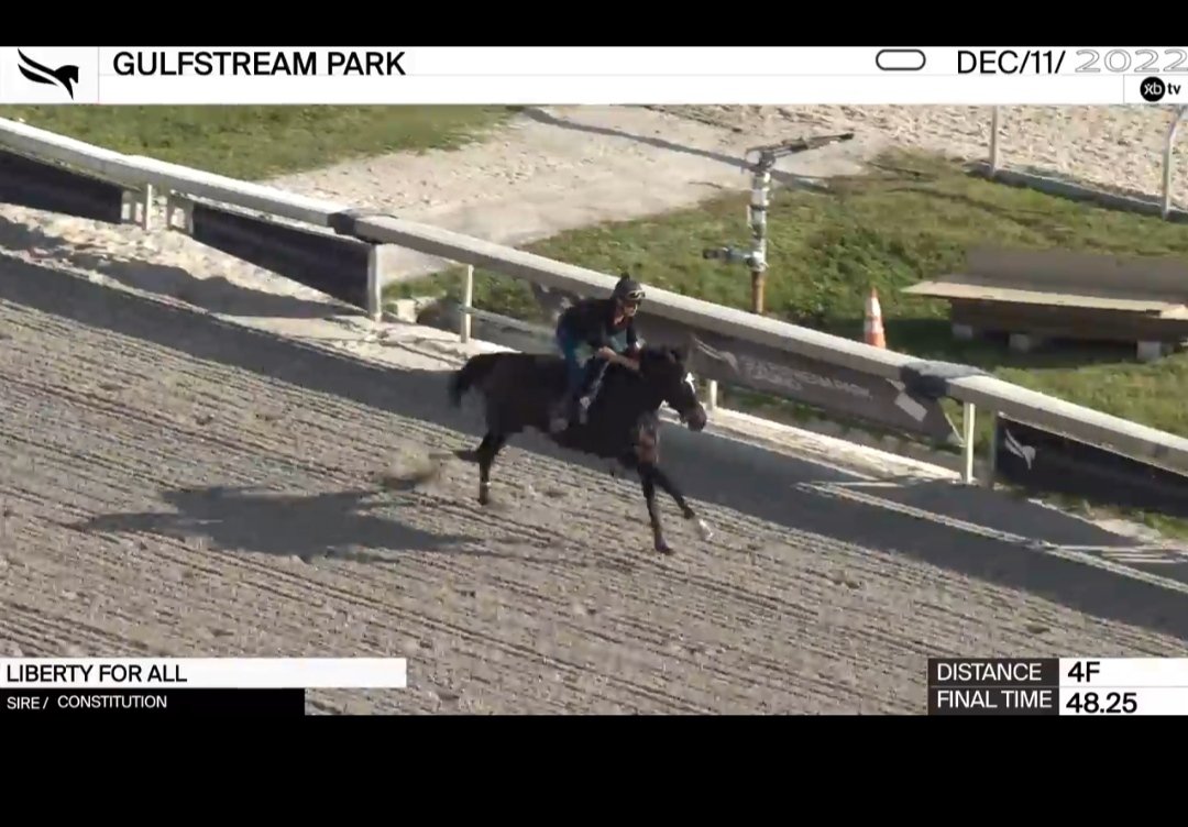 Juan Diego Faneite D tweet media