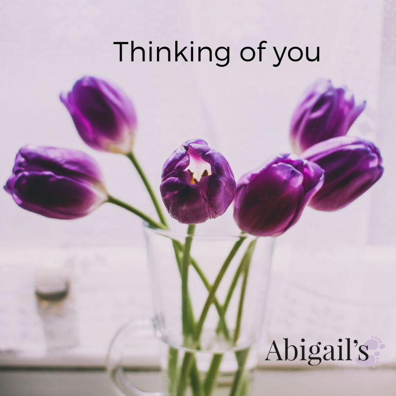 AbigailsCharity's tweet photo. 💜 As Mother’s Day approaches, we know this can be an incredibly difficult time for bereaved parents. 
Here's a link from Lifecare Counselling on self care around Mother’s Day - https://t.co/COVATY62WQ 

#stillamum #alwaysamum  #motherday #babyloss #abigailsfootsteps https://t.co/GuLvjoOkcU