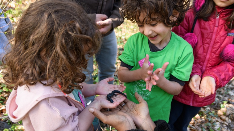 AF's famous all-ages #SalamanderStroll is taking place this Saturday, March 18 from 10:00 AM to 11:30 AM at Clyde Shepherd Nature Preserve as one of this year's <a href="/ATLSciFest/">Atlanta Science Festival</a> events!  No registration or ticket fees are required!

atlantasciencefestival.org/events-2023/41…