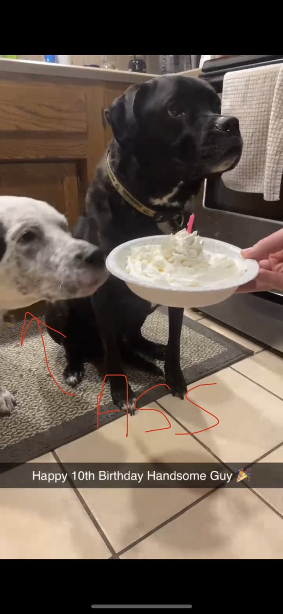 chuckthedog's tweet photo. So this happened…I may be old but at least I’m not an ass like my lil bro Cooper.  He blew out my candle.  #70 https://t.co/JJlBRgVtfe