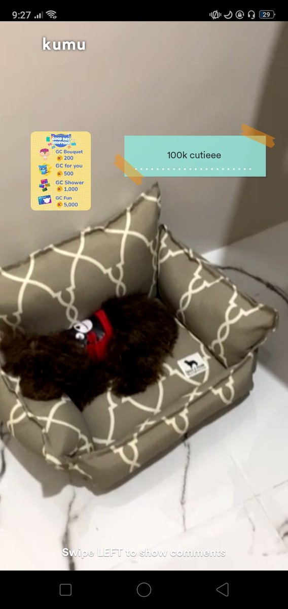 cutie_moshi's tweet photo. thanks mom @francchezka and dad @WardReinalyn for my comfortable bed spoiled po talaga nila ako hihihihi ❤️‍🔥🐶 https://t.co/4MDigarpg1