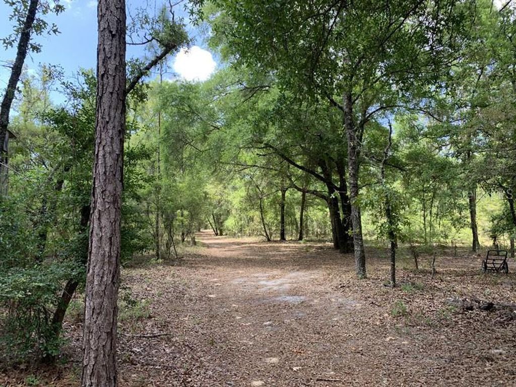 80 acres Near the Suwannee River only $5,000/acre! zillow.com/homedetails/NW…