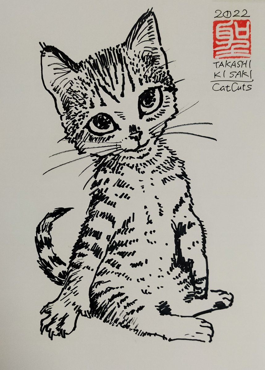 「制作過程元はラフにマジックで描いたサインイラストですねー 」|CatCuts ✴︎日々猫絵描く漫画編集者のイラスト