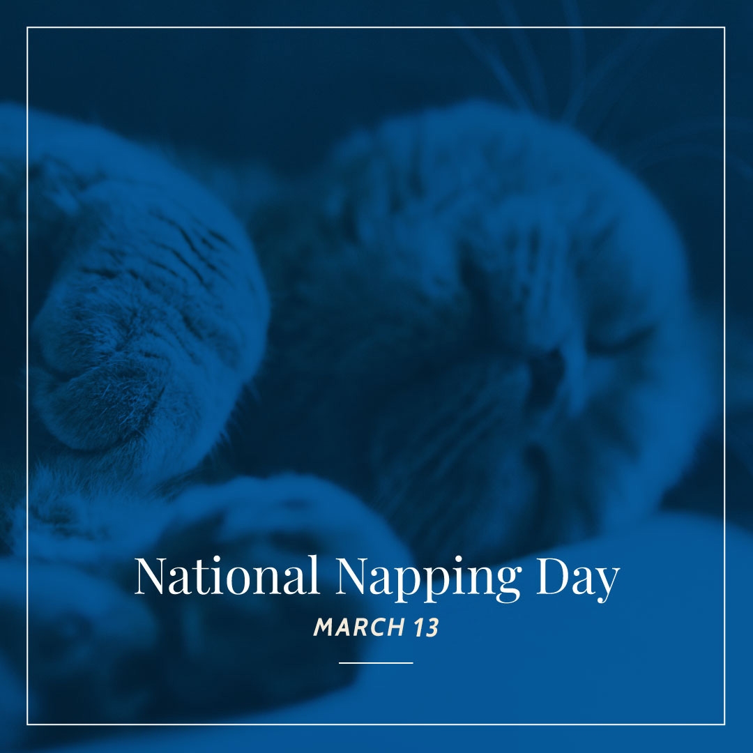 flexabed's tweet photo. Happy #NationalNappingDay! Whether you're a power napper or a long snoozer, take some time today to relax and rest. And remember, it's not laziness, it's self-care! 😴💤 #SelfCare #RestAndRecharge https://t.co/3KCMJGliEI