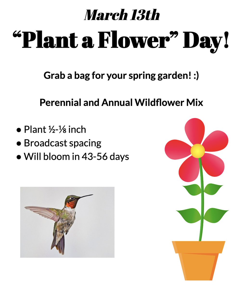 Melissa Balsamello tweet media