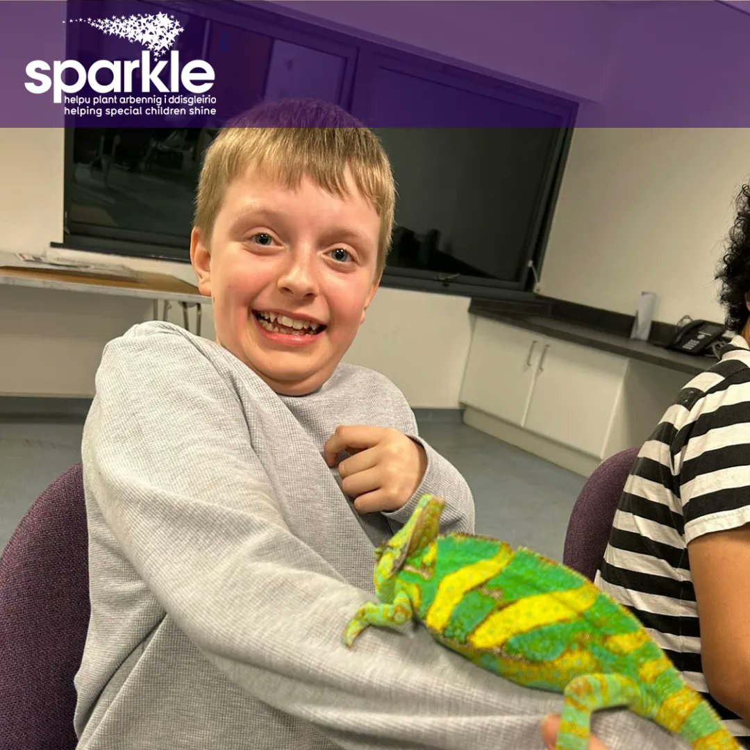 sparkleappeal's tweet photo. Pictures from the visit from Animals Interactive at Monday's youth club in Serennu! ππ¦¨ππ¦
Want to know more about our latest fundraiser? Take a look at the link in our bio!β¨
#HelpingSpecialChildrenShine #SparkleAppeal #Fundraising #Charity #Serennu #AnimalsInteractive https://t.co/P0927BXvUH