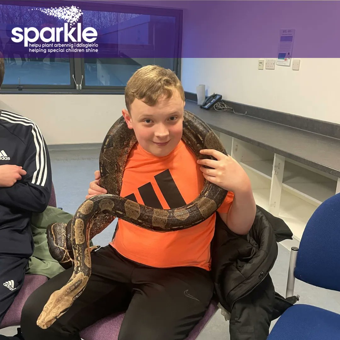 sparkleappeal's tweet photo. Pictures from the visit from Animals Interactive at Monday's youth club in Serennu! ππ¦¨ππ¦
Want to know more about our latest fundraiser? Take a look at the link in our bio!β¨
#HelpingSpecialChildrenShine #SparkleAppeal #Fundraising #Charity #Serennu #AnimalsInteractive https://t.co/P0927BXvUH