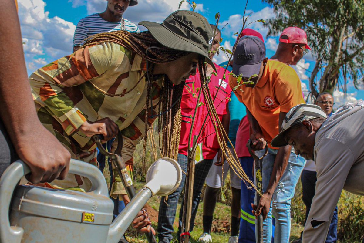 DekunleCharles's tweet photo. Joined by @Au_YouthEnvoy @ChidoCleoMpemba, @RedcrossSa &amp; #IFRCSouthernAFR teams on the ground checking the progress of the trees planted last year in Daveyton. Youth involvement is a must-

The youth are key to change &amp; development for the future. 
Resilient youth, resilient 🌍💪🏾 https://t.co/M3KmHGnGfn