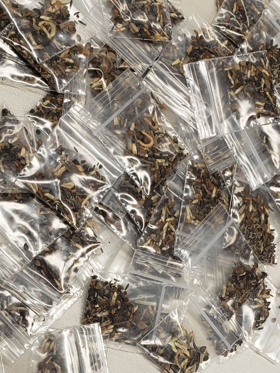 Melissa Balsamello tweet media