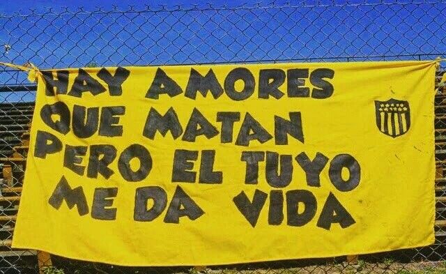 Banda Aurinegra (@bandaaurinegra) on Twitter photo 