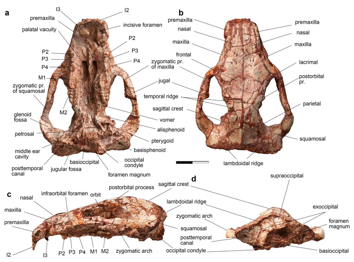 Darin Croft tweet media