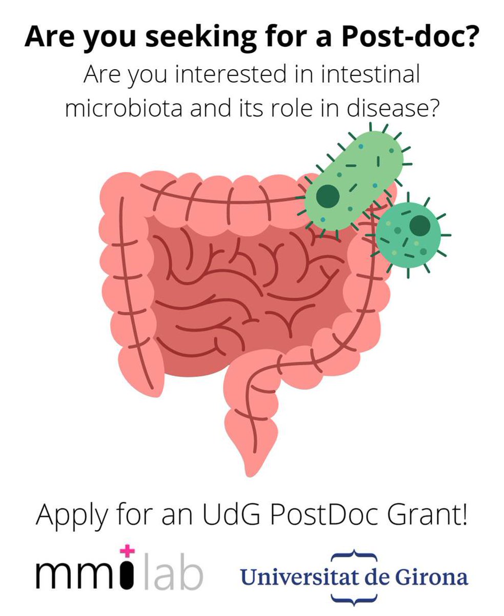 UdG Postdoctoral Grant Call is open! 🏃‍♀️Only 10 days left to submit applications! #universitatdegirona #research #postdoc @LabMmi