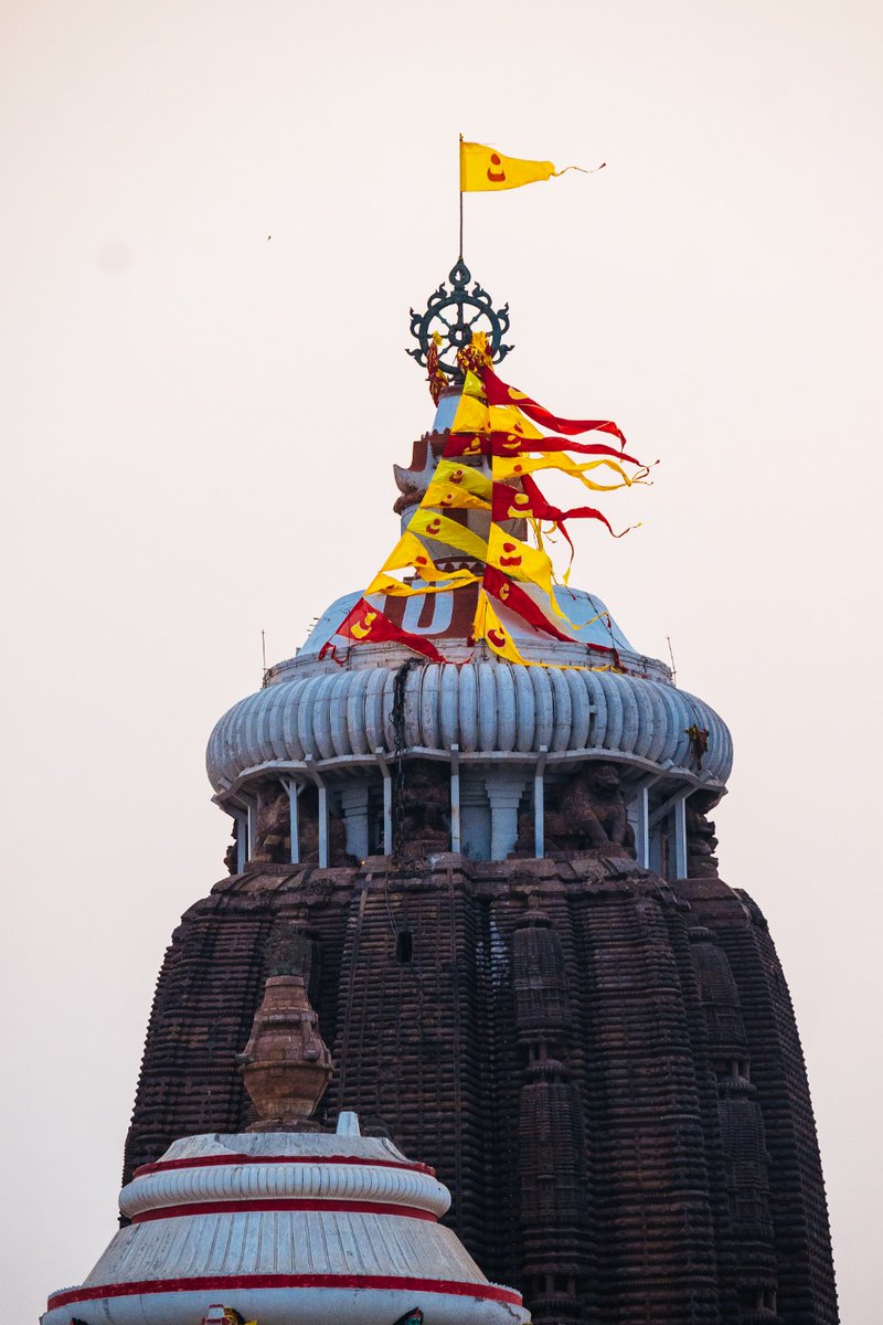 Shree Jagannatha Temple Office, Puri tweet media